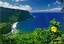 Waipio Valley, big island of Hawaii