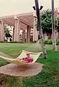 hanging out at the resort grounds