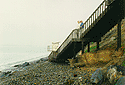 California's Coast